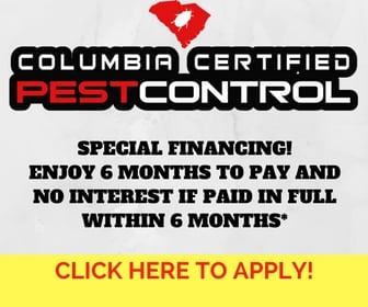 Pest control specials from the expert exterminators at Columbia Certified Pest Control