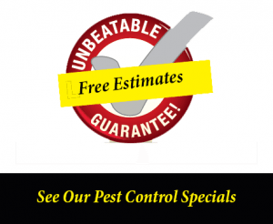 Pest control special offers in Columbia south Carolina